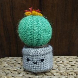 mini crochet cactus pot